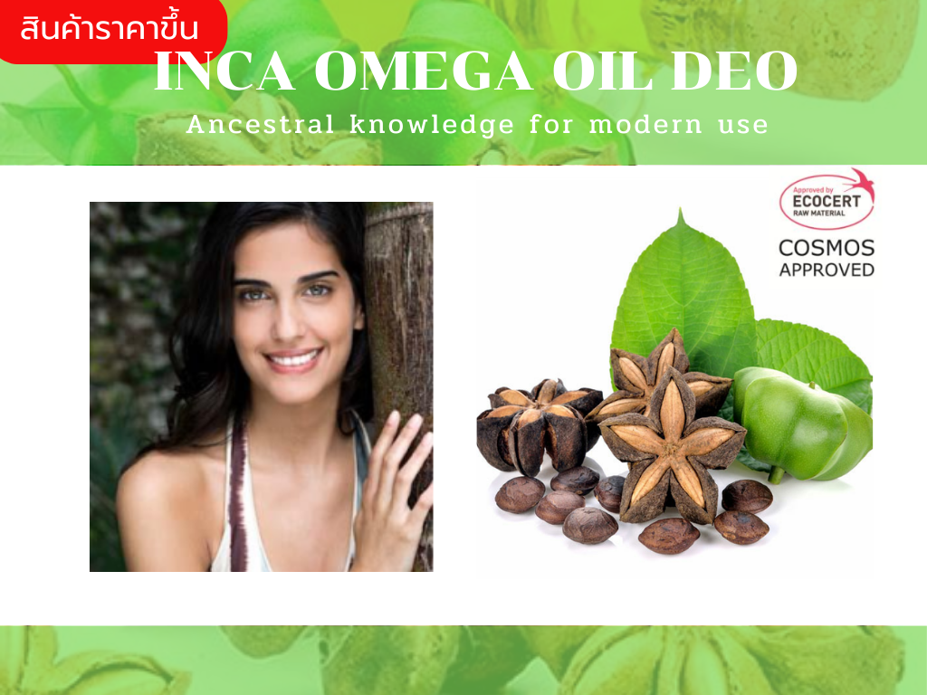 Inca Omega Oil DEO น้ำมันจากเมล็ดถั่วอินคาสกัดเย็น อุดมด้วยกรดไขมันโอเมก้า 3,6,9 รักษาความชุ่มชื้นแก่ผิวและปกป้องผิวจากรังสีUV 